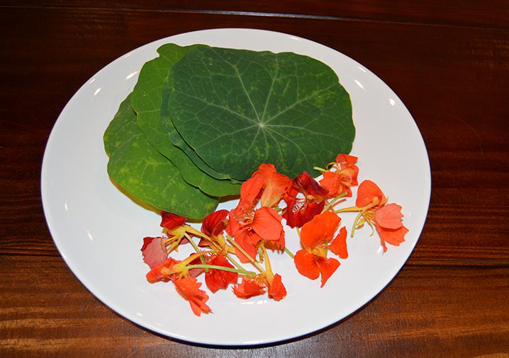 Capuchinha: exemplo de planta alimentícia não convencional